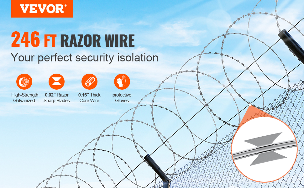 d28d3871-62c2-42da-8e4a-b2e756ab4688.__CR0,0,970,600_PT0_SX970_V1___