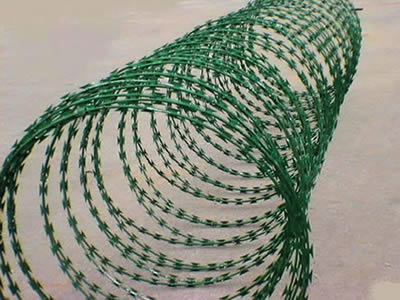 green-concertina-razor-wire